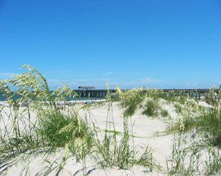 Tybrisa At The Beach Otel Tybee Island Dış mekan fotoğraf